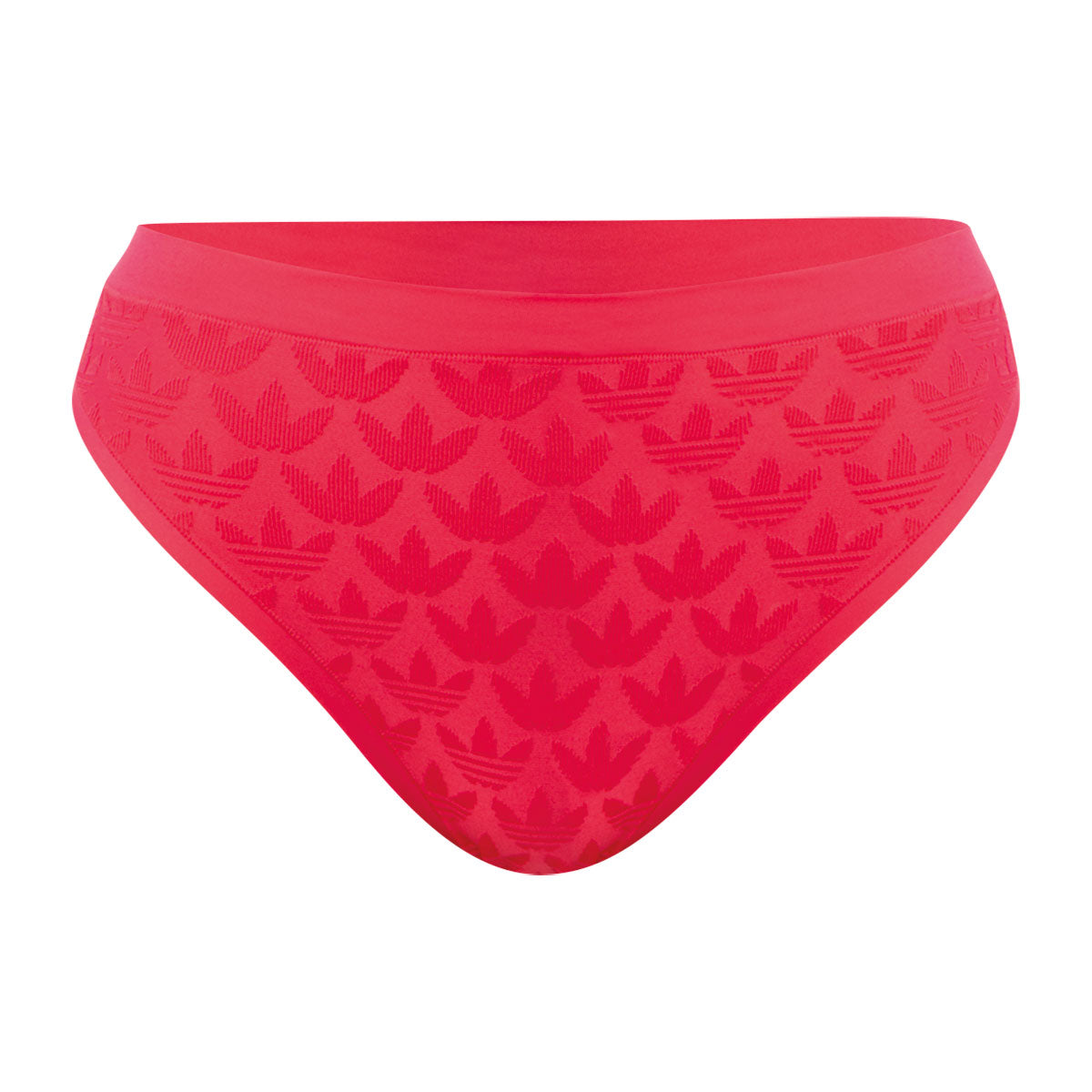 s/files/1/0779/3718/1009/files/0IA19_0515_1.jpg?v=1738671554