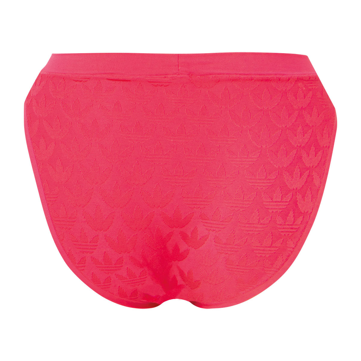 s/files/1/0779/3718/1009/files/0IA19_0515_3.jpg?v=1738671555