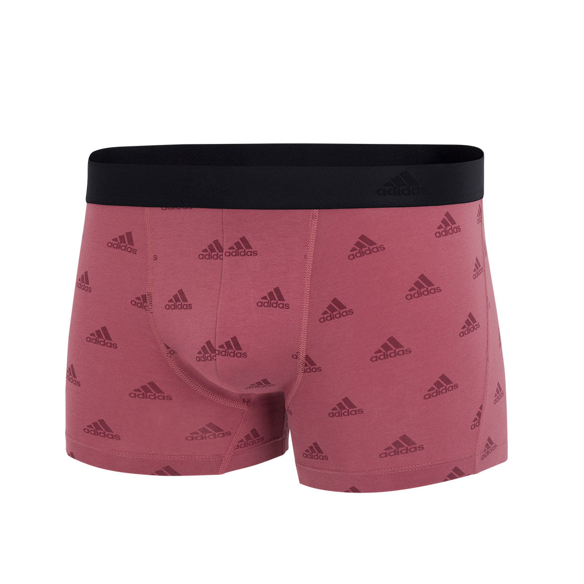 s/files/1/0779/3718/1009/files/0IB01_0931_19.jpg?v=1738674448