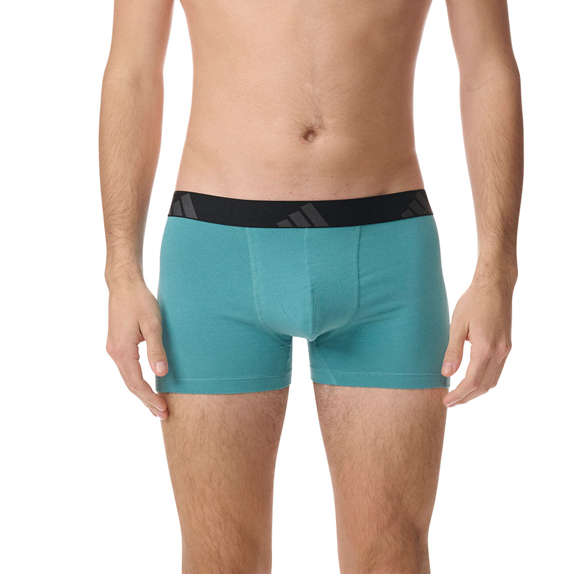 s/files/1/0779/3718/1009/files/0IB56_0908_7.jpg?v=1755606293