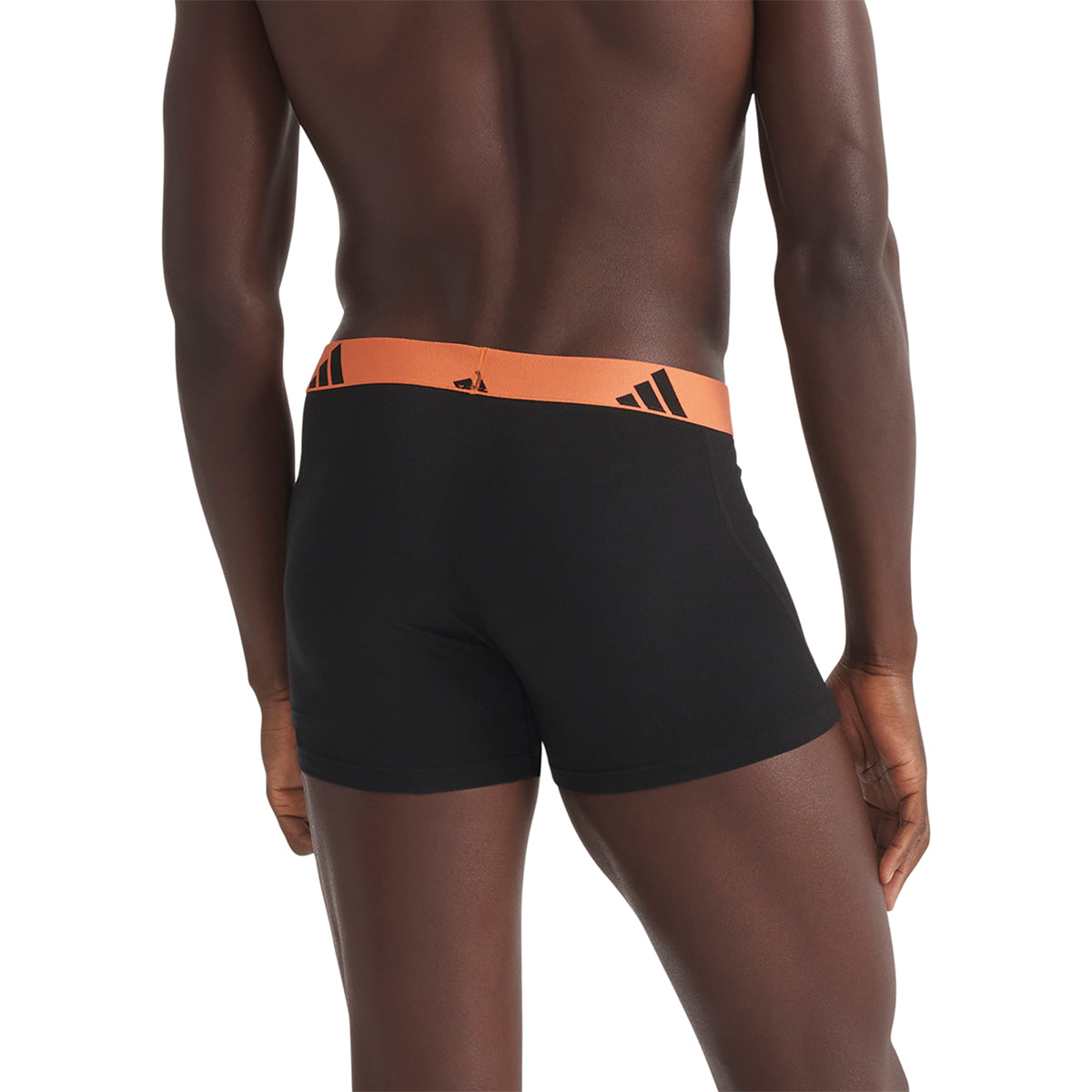 s/files/1/0779/3718/1009/files/0IB56_0914_6.jpg?v=1771498093