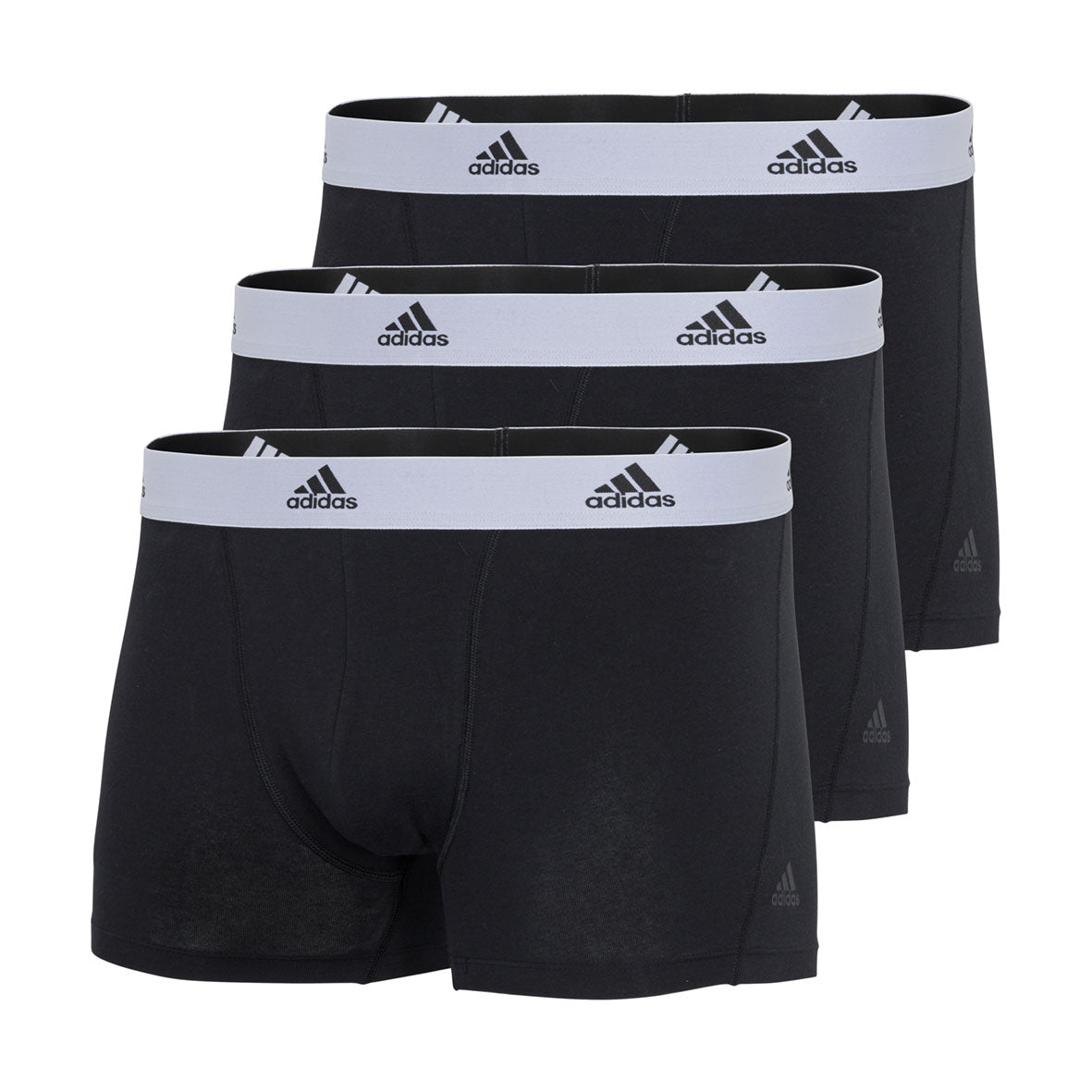 s/files/1/0779/3718/1009/files/0IL01_0006_2.jpg?v=1738674863