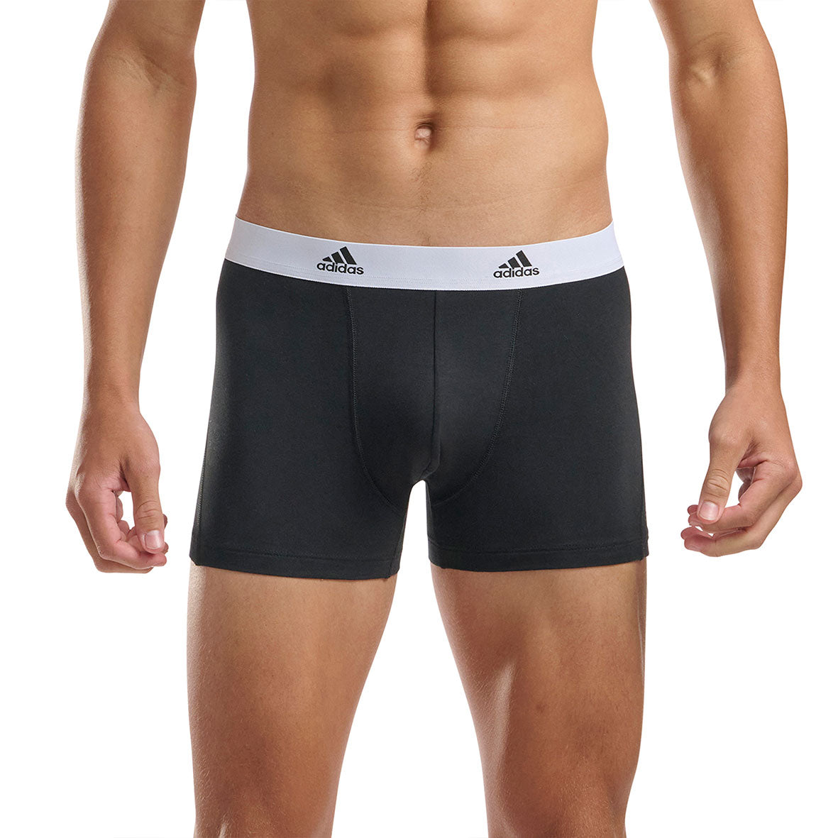 s/files/1/0779/3718/1009/files/0IL01_0006_4.jpg?v=1738674863