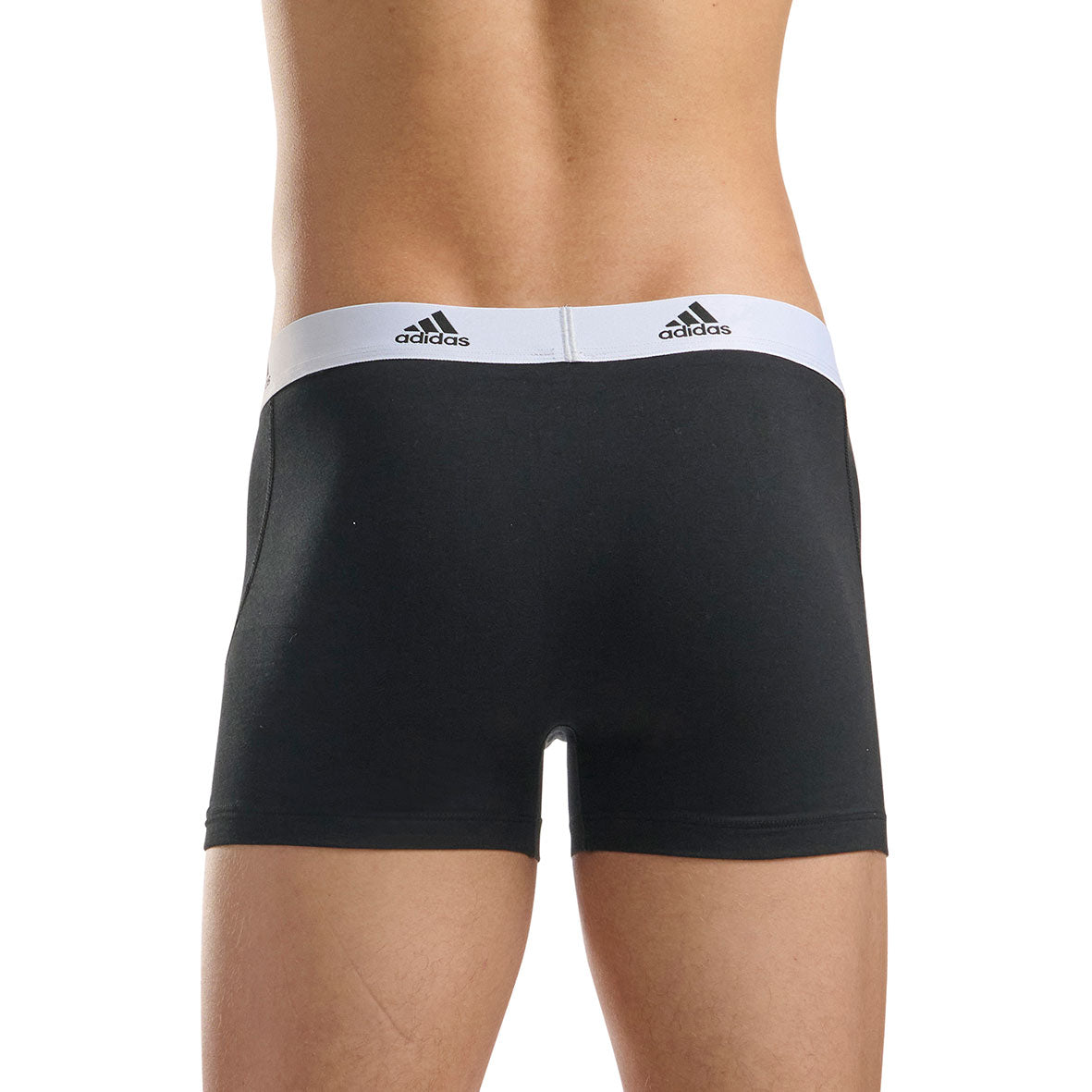 s/files/1/0779/3718/1009/files/0IL01_0006_6.jpg?v=1738674863