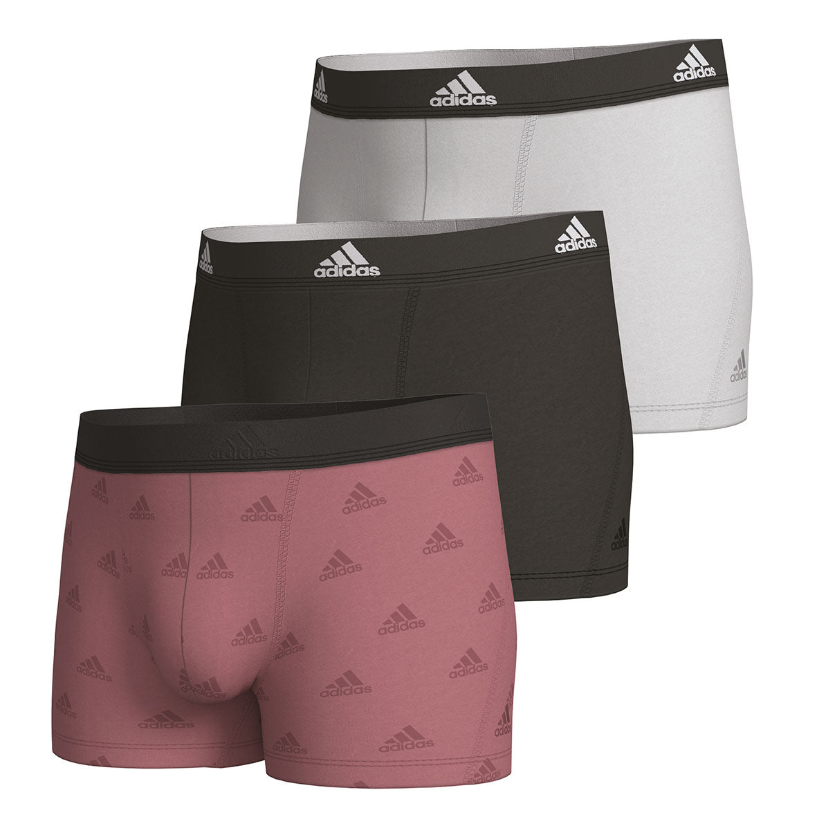 s/files/1/0779/3718/1009/files/0IL01_0931_2.jpg?v=1738674864