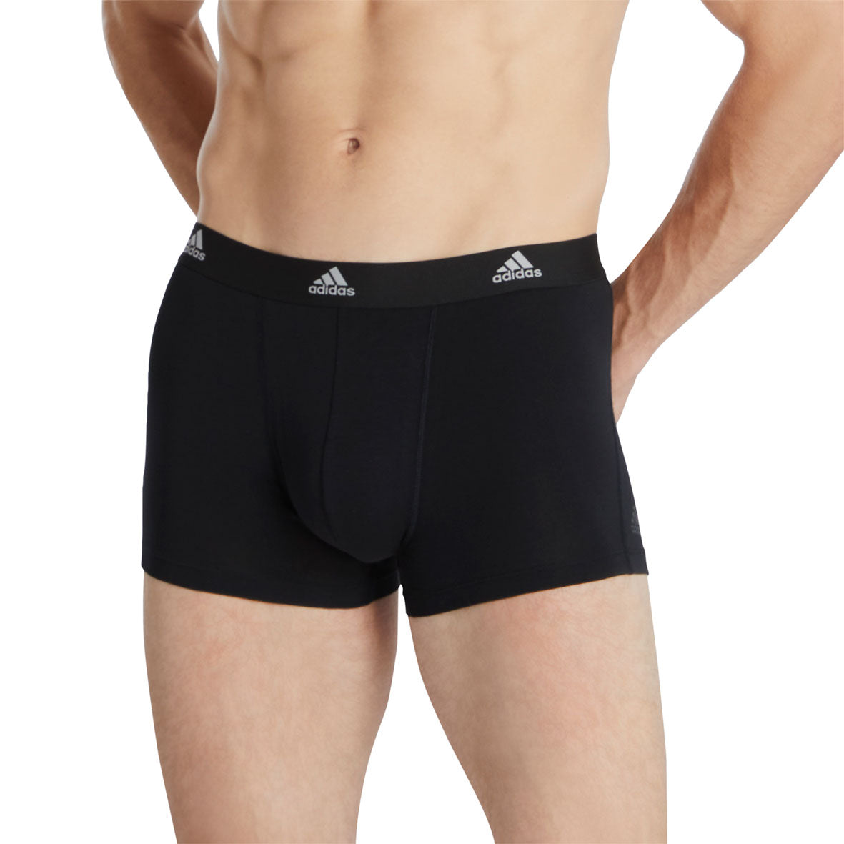 s/files/1/0779/3718/1009/files/0IL01_0931_4.jpg?v=1738674863