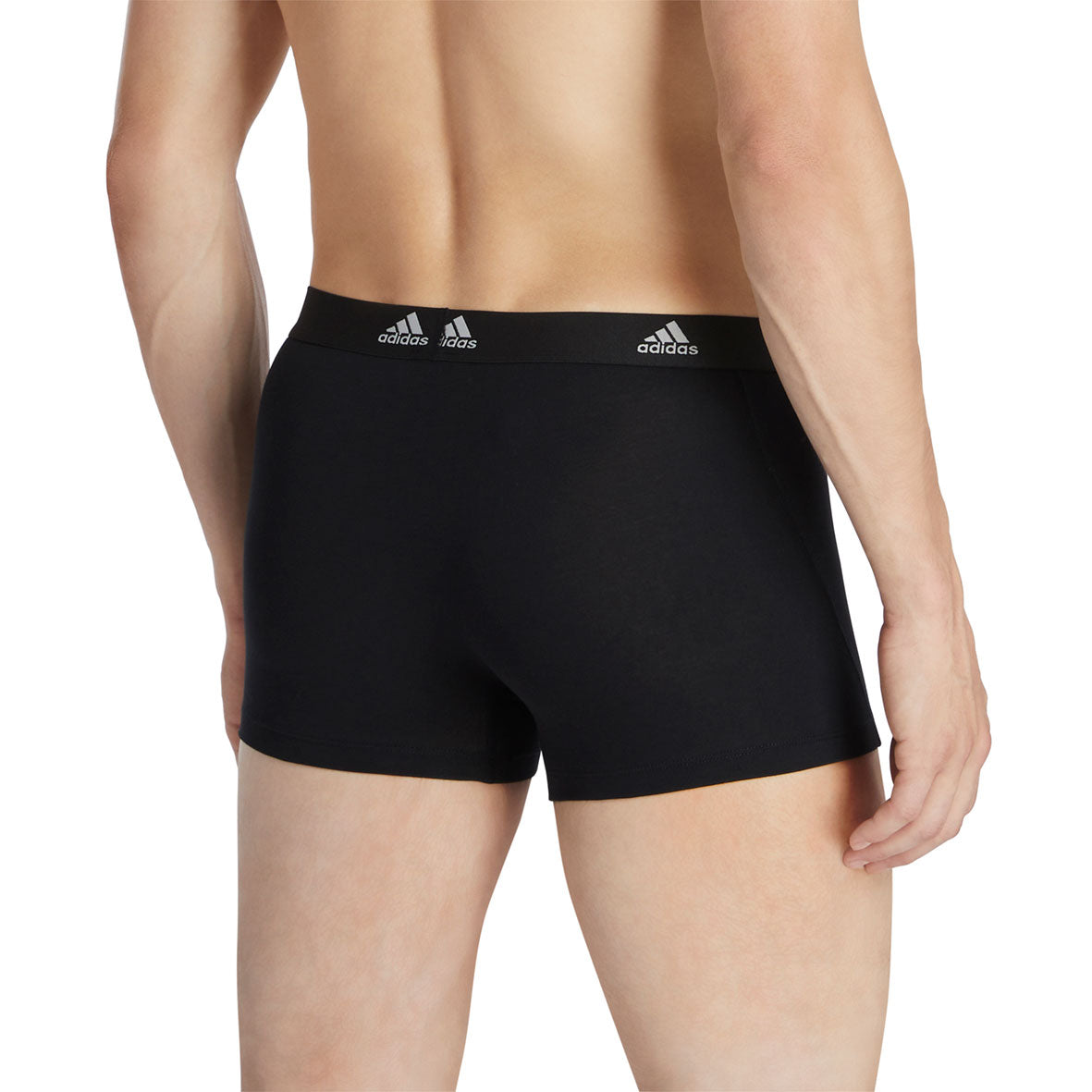 s/files/1/0779/3718/1009/files/0IL01_0931_6.jpg?v=1738674862