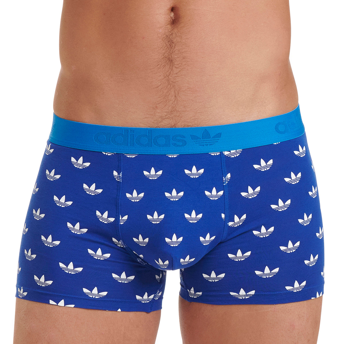 s/files/1/0779/3718/1009/files/0IL06_0800_1.jpg?v=1738672153