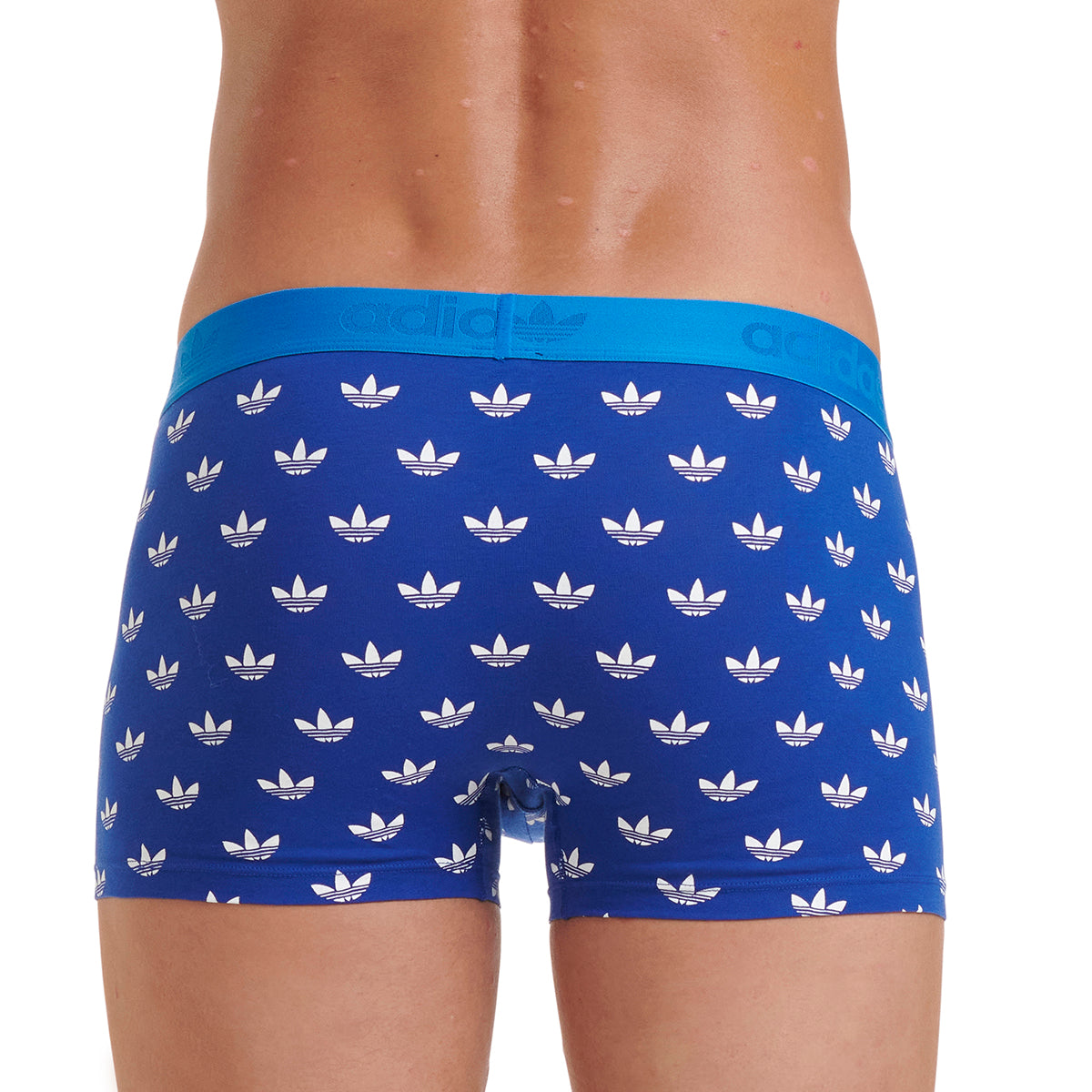 s/files/1/0779/3718/1009/files/0IL06_0800_2.jpg?v=1738672152