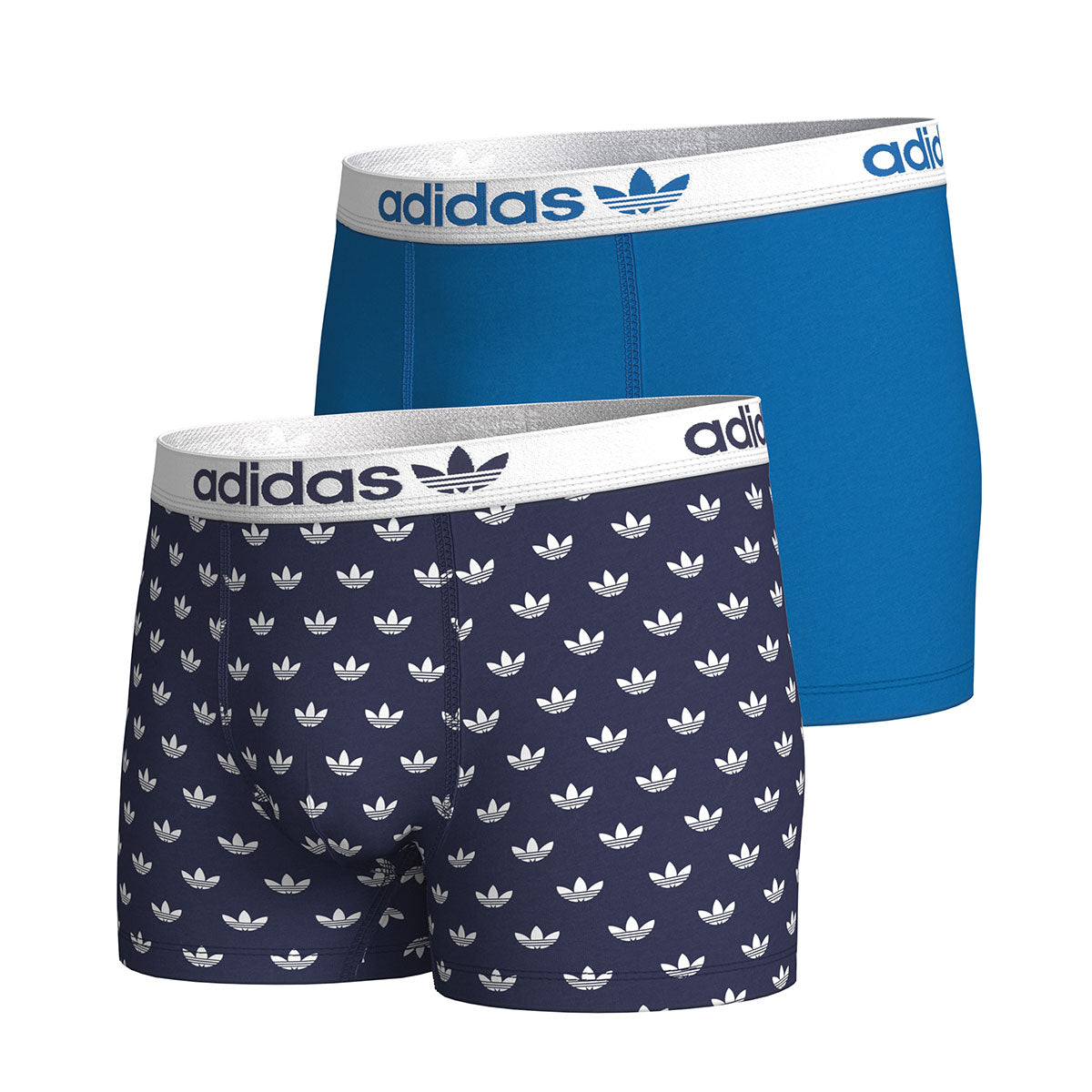 s/files/1/0779/3718/1009/files/0IL06_0945_2.jpg?v=1738672321