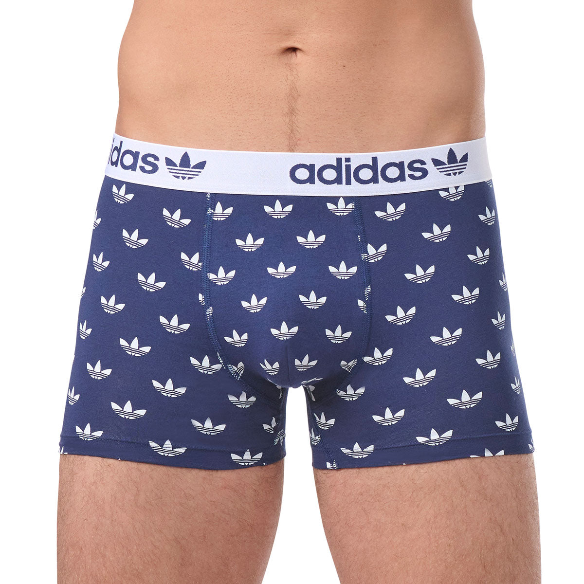 s/files/1/0779/3718/1009/files/0IL06_0945_4.jpg?v=1738672321