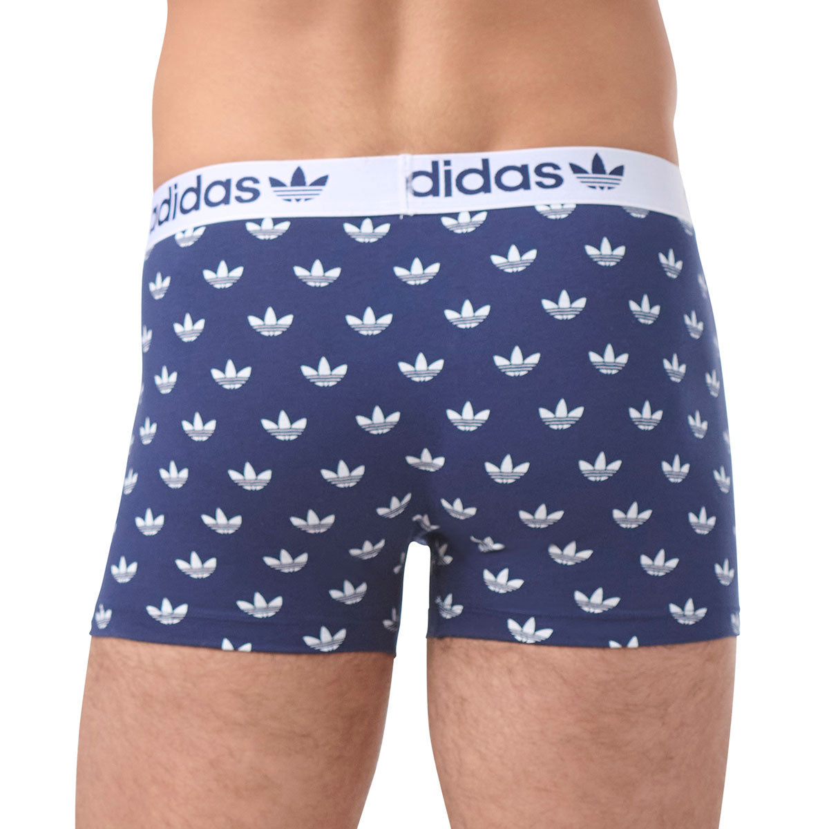 s/files/1/0779/3718/1009/files/0IL06_0945_6.jpg?v=1738672321