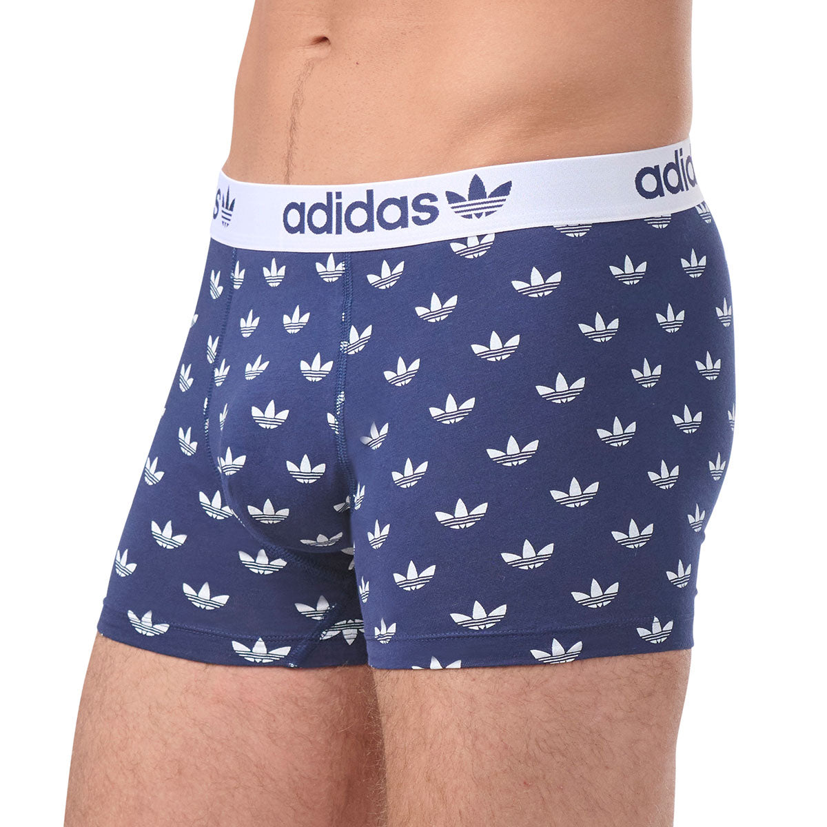 s/files/1/0779/3718/1009/files/0IL06_0945_7.jpg?v=1738672321