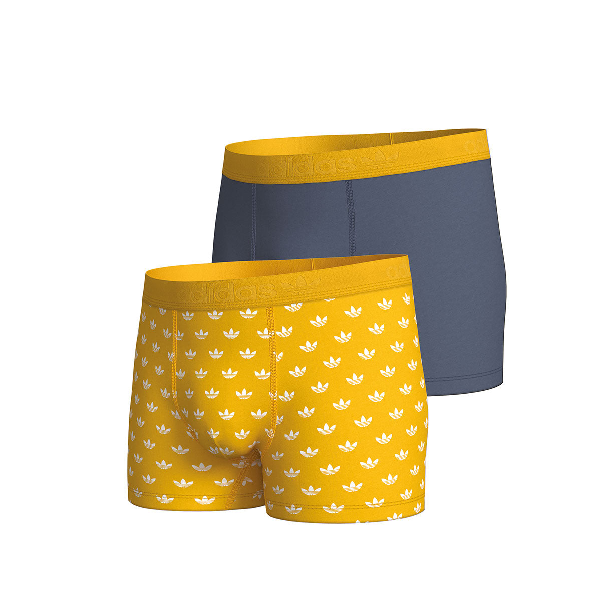 s/files/1/0779/3718/1009/files/0IL06_0950_2.jpg?v=1738672322