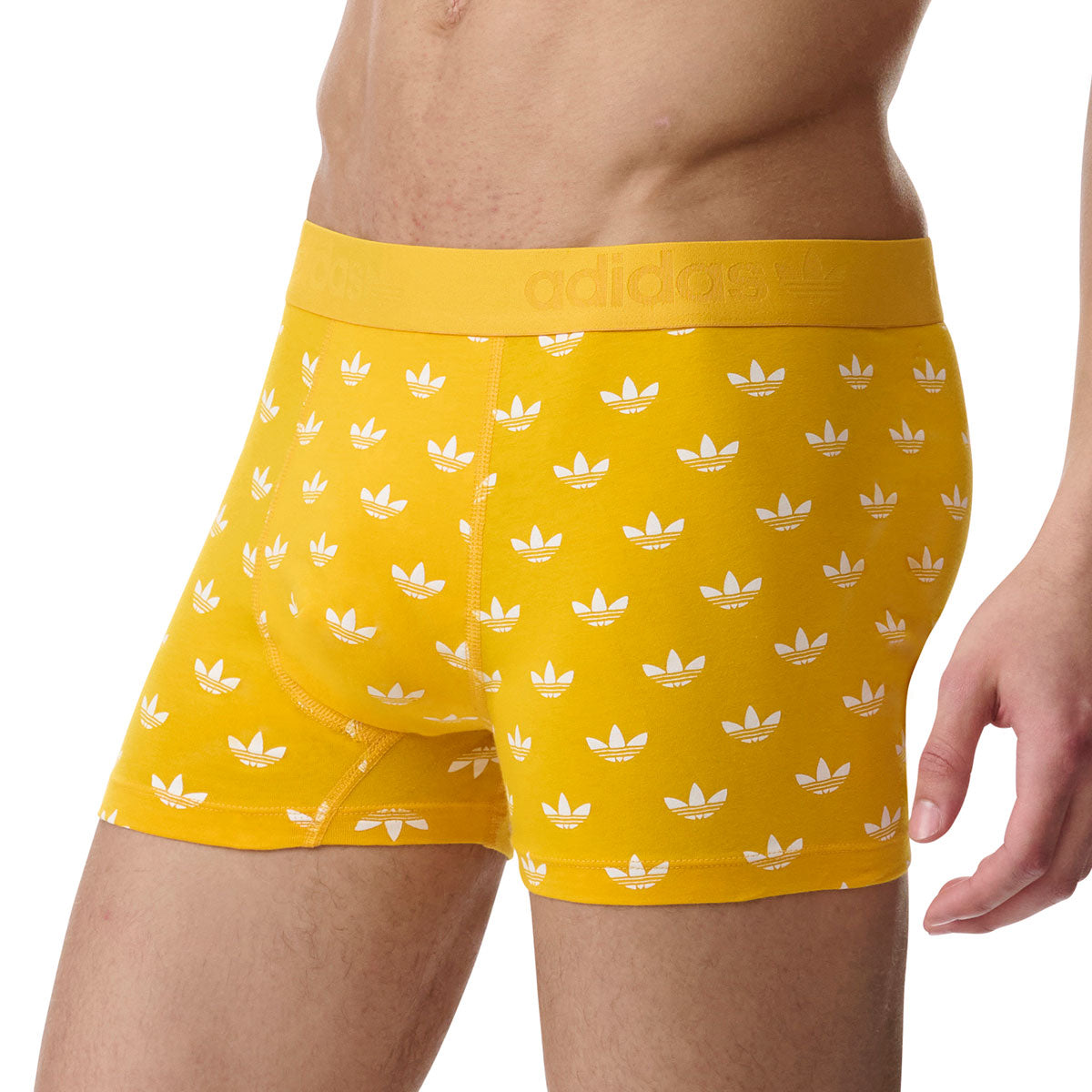 s/files/1/0779/3718/1009/files/0IL06_0950_7.jpg?v=1738672322