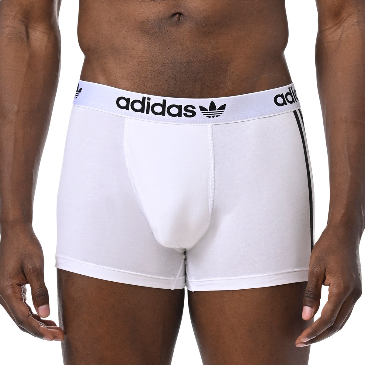 s/files/1/0779/3718/1009/files/0IL34_0908_4.jpg?v=1738672639