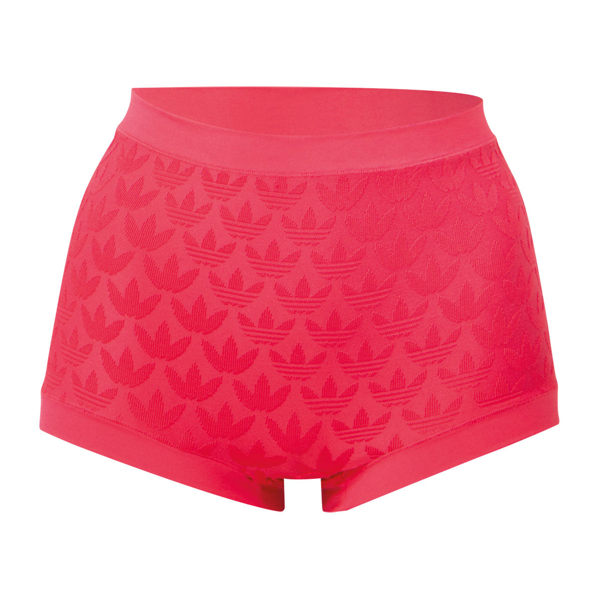 s/files/1/0779/3718/1009/files/0IA20_0515_1.jpg?v=1738671554