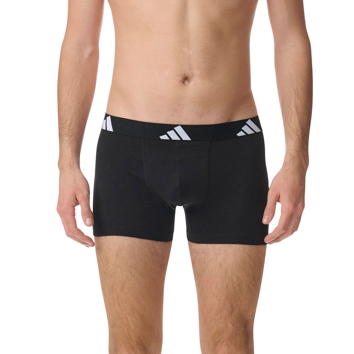 s/files/1/0779/3718/1009/files/0IB55_0907_8.jpg?v=1755606293