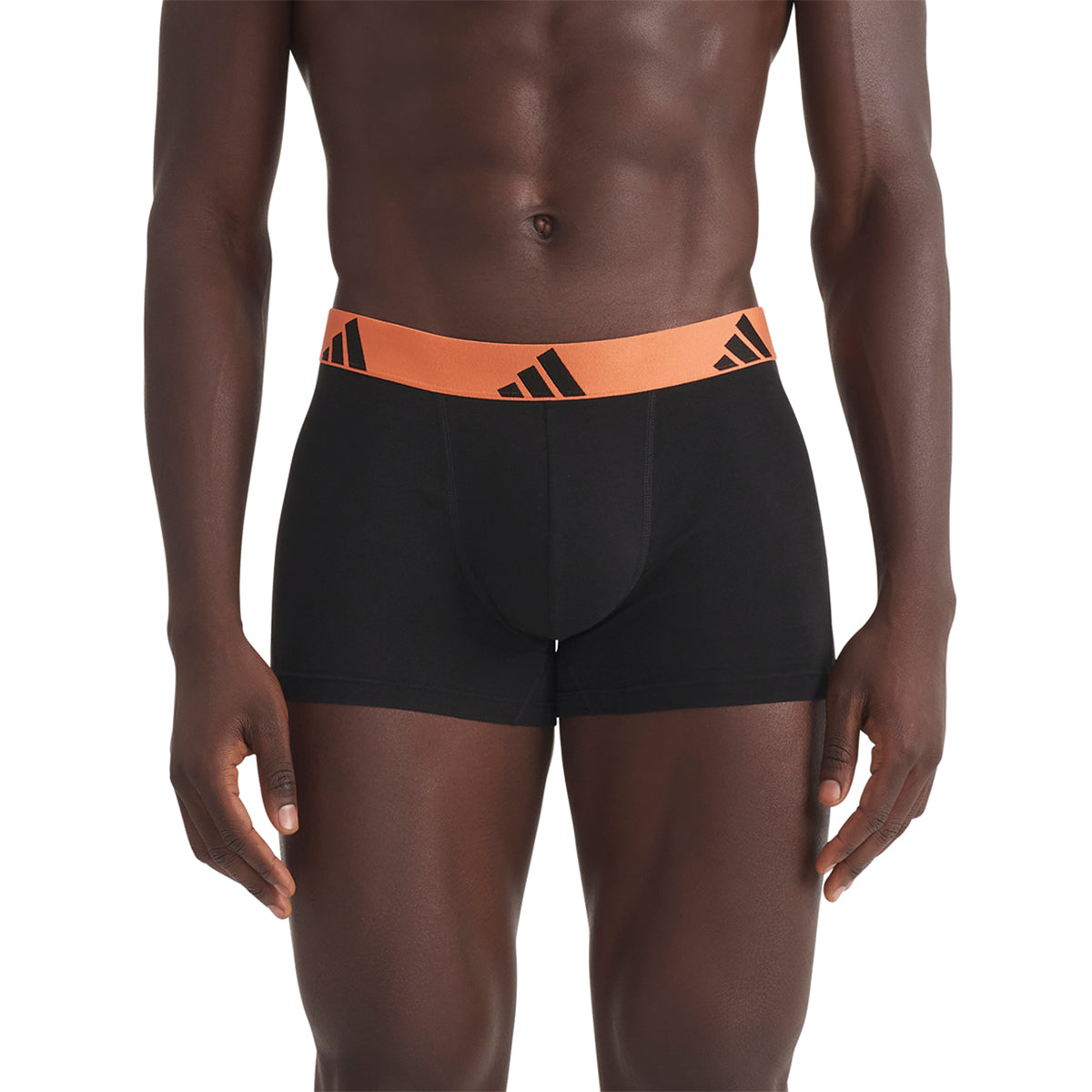 s/files/1/0779/3718/1009/files/0IB55_0914_4.jpg?v=1771498177