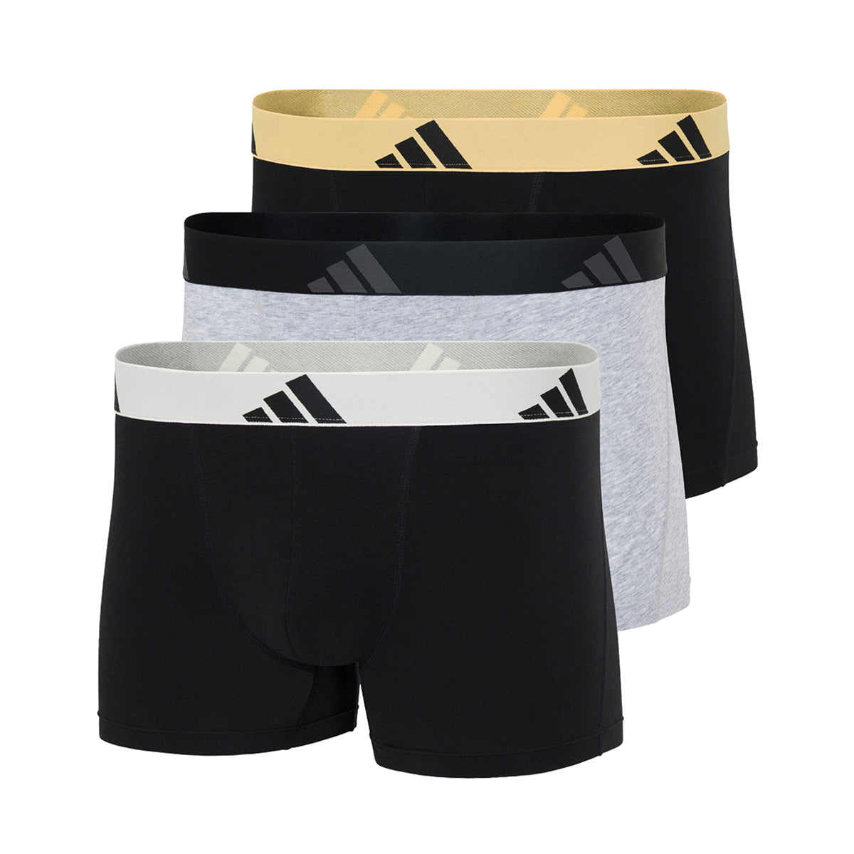 s/files/1/0779/3718/1009/files/0IB55_0915_2.jpg?v=1771498175