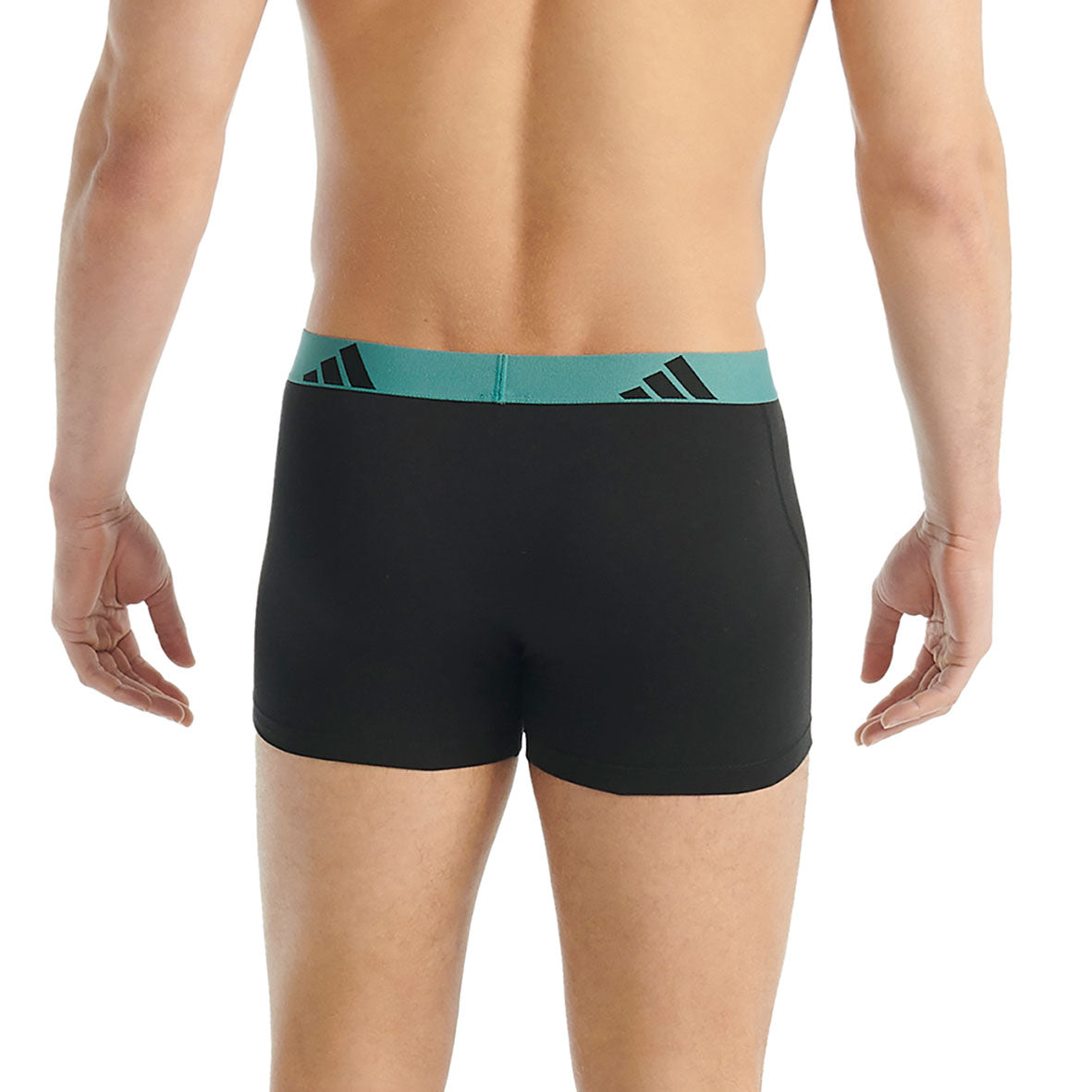 s/files/1/0779/3718/1009/files/0IB56_0907_8.jpg?v=1755606293