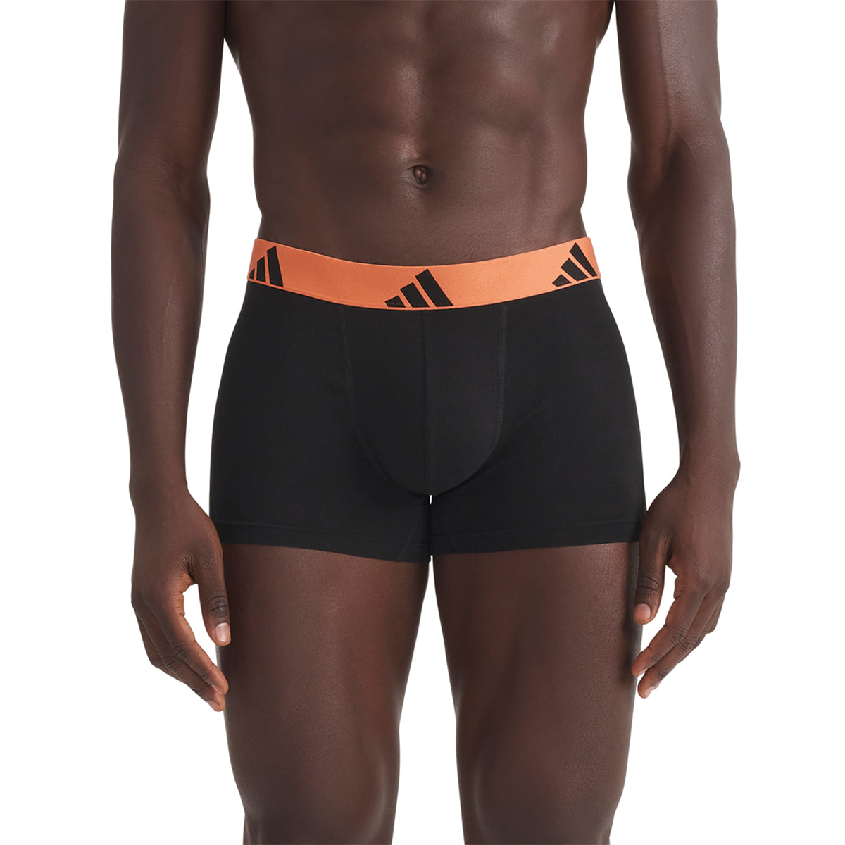 s/files/1/0779/3718/1009/files/0IB56_0914_4.jpg?v=1771498092