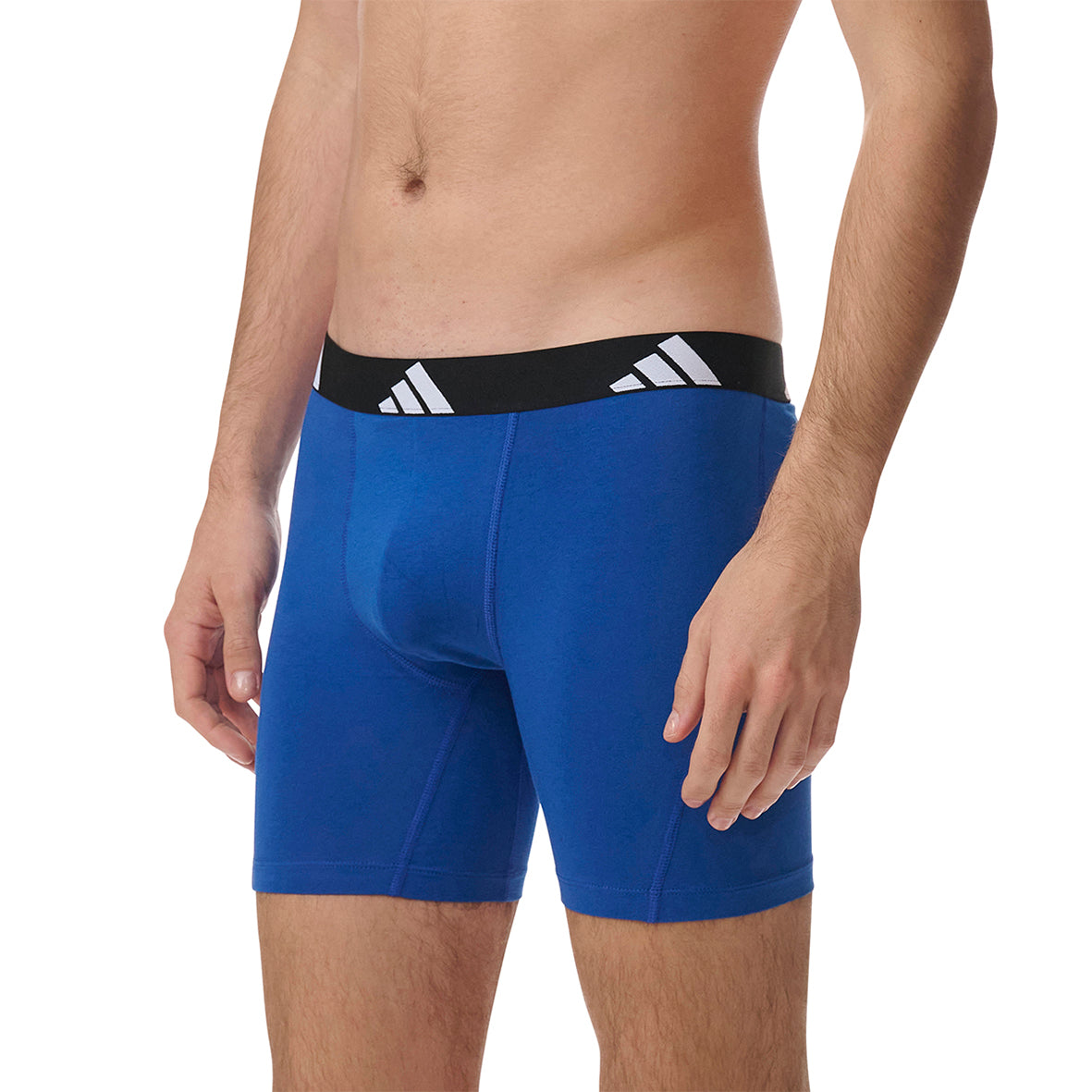 s/files/1/0779/3718/1009/files/0IB57_0913_8.jpg?v=1738667833