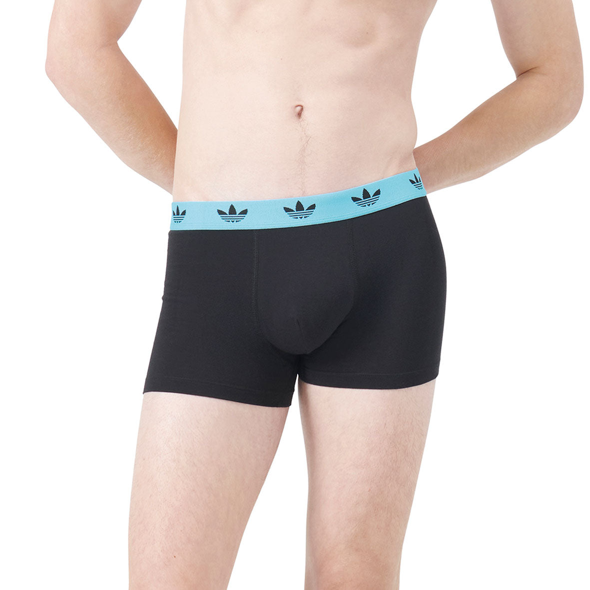 s/files/1/0779/3718/1009/files/0IB74_0902_4.jpg?v=1755606605