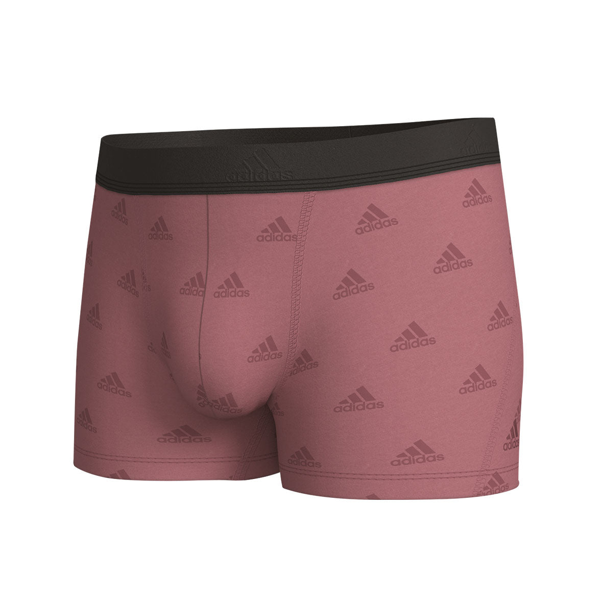 s/files/1/0779/3718/1009/files/0IL01_0931_19.jpg?v=1738674863